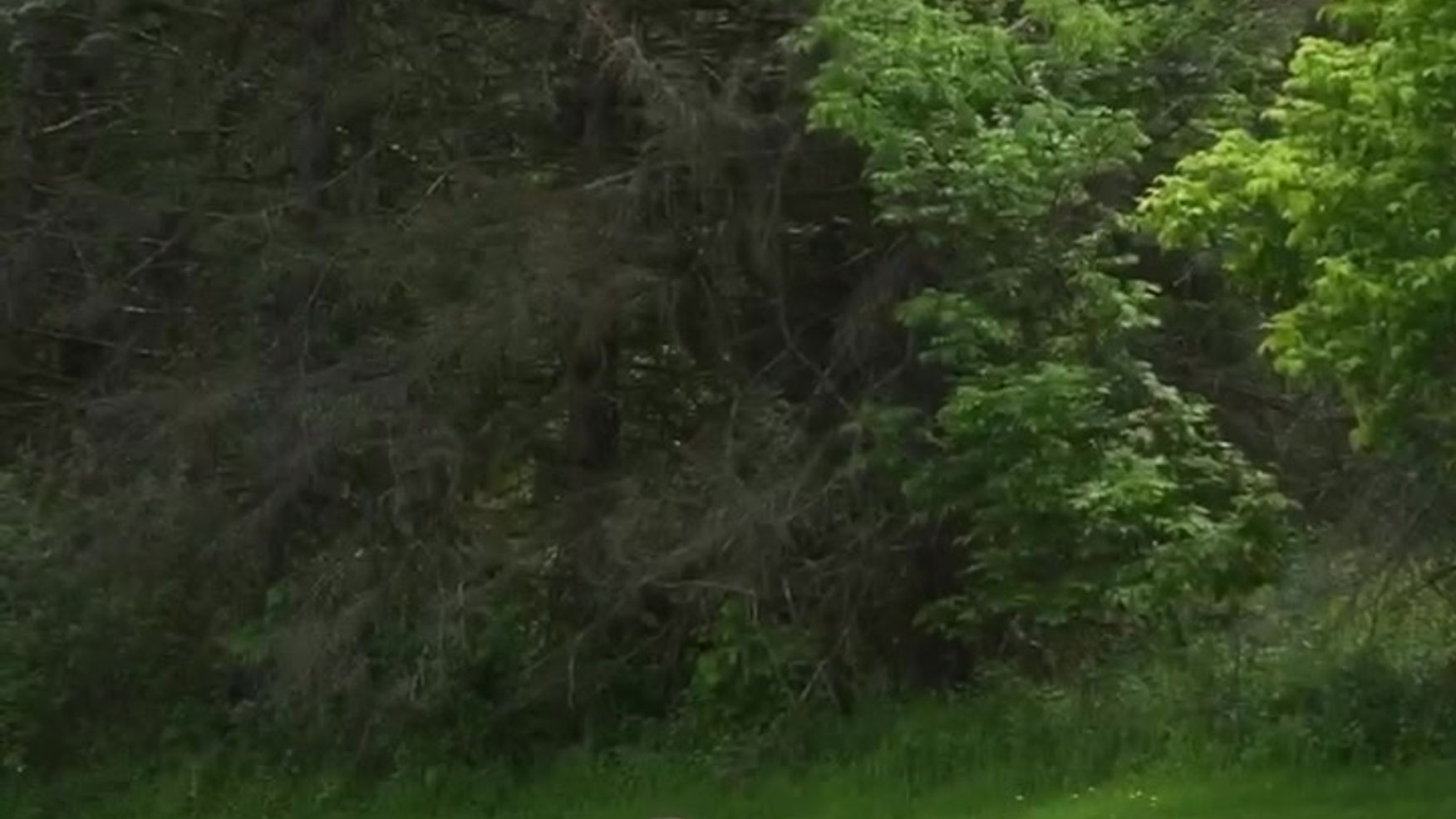 Looking back on it- trailer